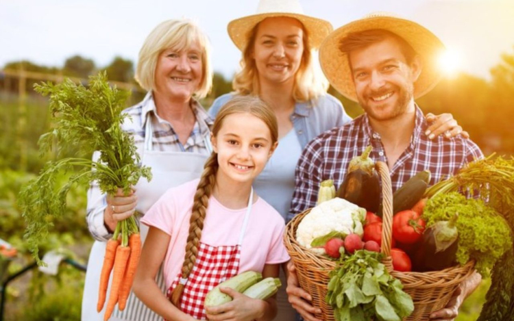 Már igényelhető a falusi csok