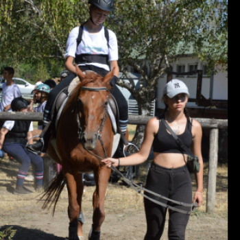 Szakmakóstoló tábort rendezett a Mezgé