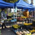 Színes virág kavalkád az őszi virágünnepen