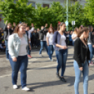 A Zöld nap évről-évre a legnagyobb buli