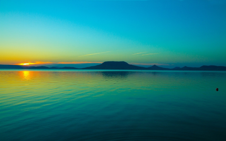 Algásodást jeleztek a Balatonban