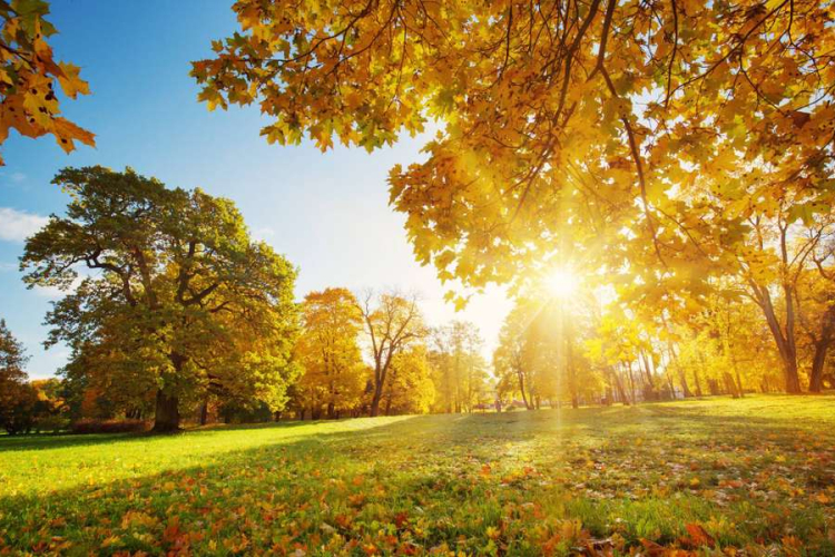 Tíz fokos hőmérésklet-különbség is lehet országon belül