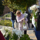 Őszi virágvásárt tartottak a városközpontban