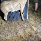 Júliusi Turul Koppány Verseny Eredmények