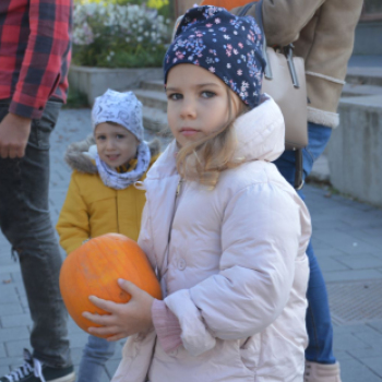 Sokan ellátogattak az őszi virágünnepre
