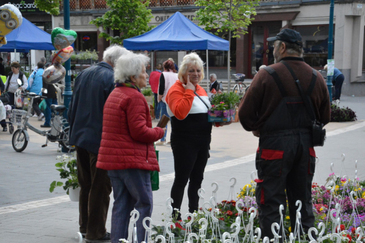 Káprázatos virágözön ékesítette Kiskunfélegyháza főterét