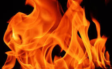 Aljnövényzet ég Kiskunfélegyháza külterületén