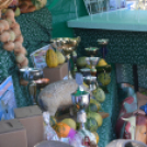 Tömegeket vonzott a Mezgé piknikje a tangazdaságba