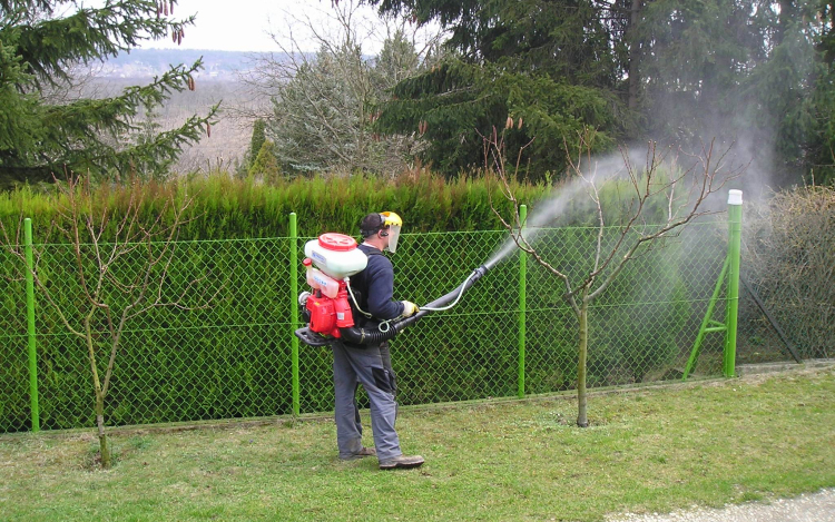 Az időjárás szinte berobbantotta a fákat: Itt az első támadás!