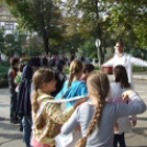 XVI. Városi diáknap - 2014