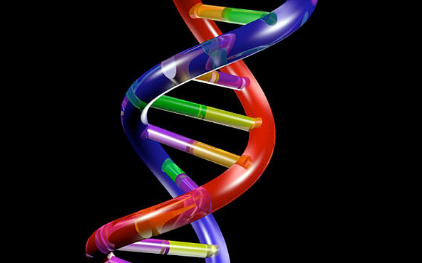 DNS-ből arckép rekonstruálás