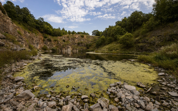 Medúzáért nem kell külföldre menni: a Középbánya-tó csodája