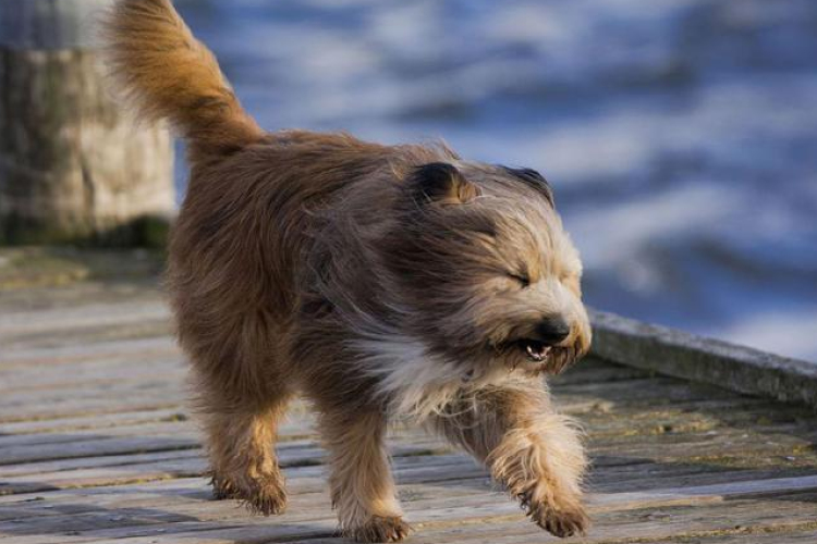 Heves széllökések az alföldön