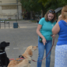 Izgalmas programok színesítették a Kutatók éjszakáját a Móra gimiben