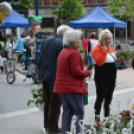 Káprázatos virágözön ékesítette Kiskunfélegyháza főterét