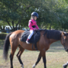 Tömegeket vonzott a Mezgé piknikje a tangazdaságba