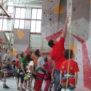 Magyar Hegy- és Sportmászó Szövetség Falmászó Versenyének Bajnoki Fordulója