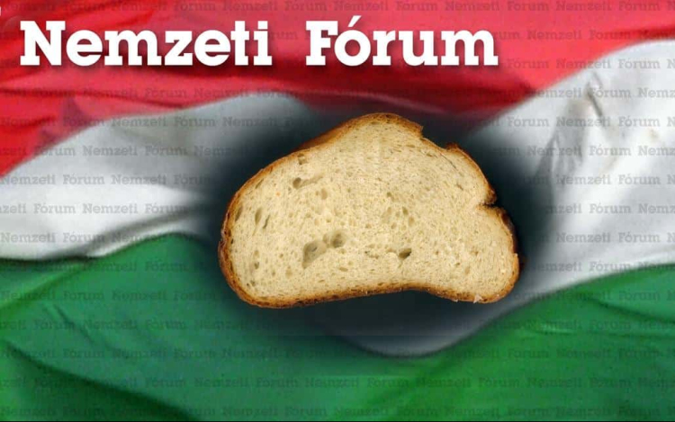 A Nemzeti Fórum frakciójának nyilatkozata a Képviselő-testület feloszlatásáról szóló sürgősségi indítványról