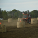 Idén is számos érdeklődőt vonzott a Mezgé piknik