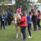 Családi délutánt rendeztek a Gyepmesteri Telepen